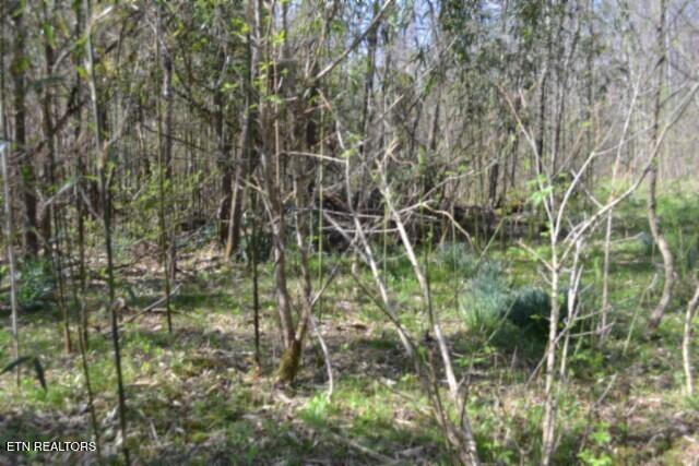 87+/- Boles Road Hilham TN 38568