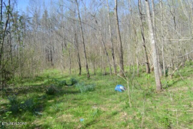 87+/- Boles Road Hilham TN 38568