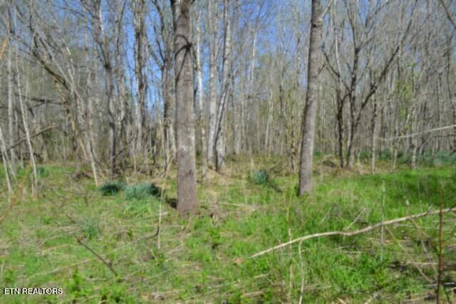 87+/- Boles Road Hilham TN 38568