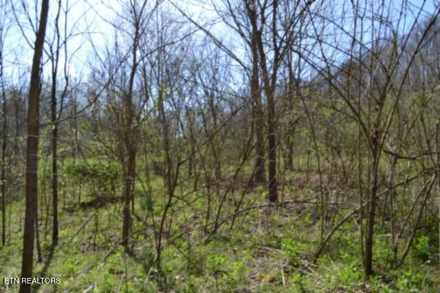 87+/- Boles Road Hilham TN 38568