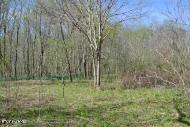 87+/- Boles Road Hilham TN 38568