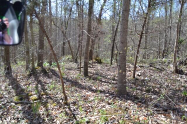 87+/- Boles Road Hilham TN 38568