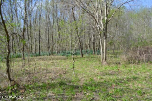 87+/- Boles Road Hilham TN 38568