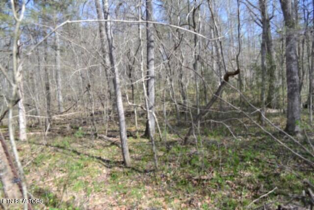 87+/- Boles Road Hilham TN 38568
