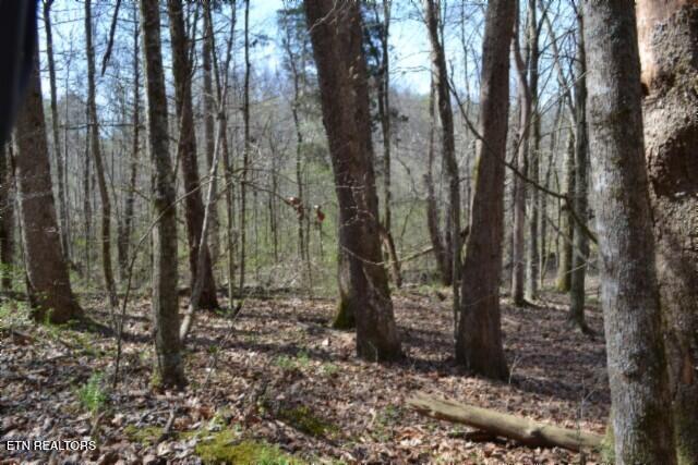 87+/- Boles Road Hilham TN 38568