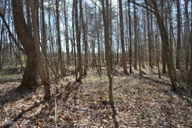 87+/- Boles Road Hilham TN 38568