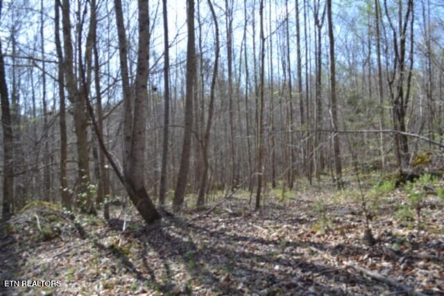 87+/- Boles Road Hilham TN 38568