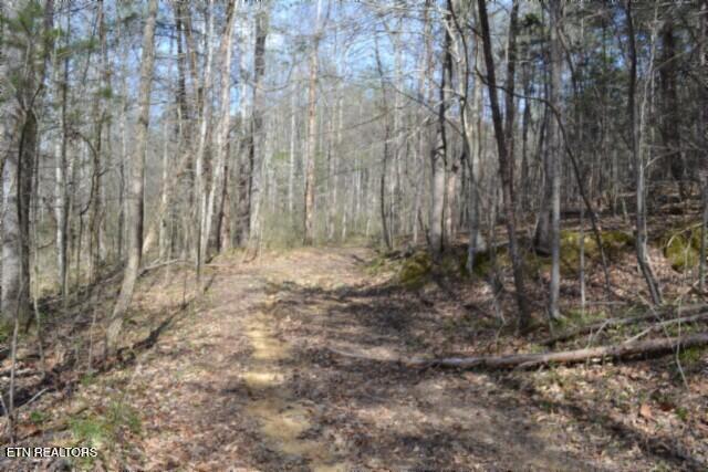 87+/- Boles Road Hilham TN 38568