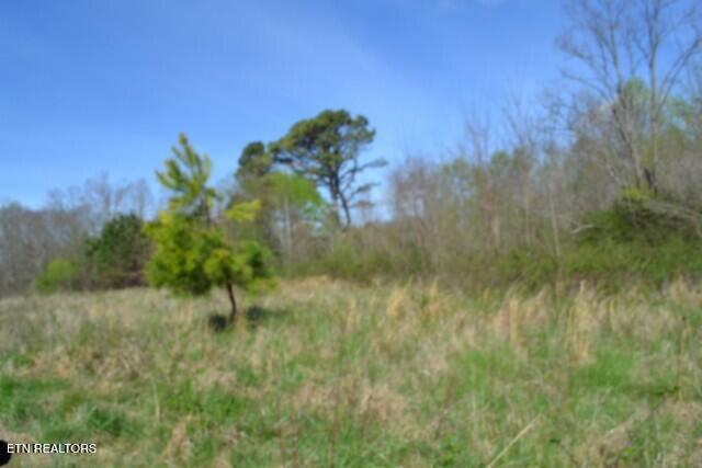 87+/- Boles Road Hilham TN 38568