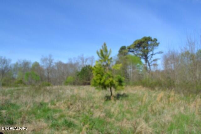 87+/- Boles Road Hilham TN 38568