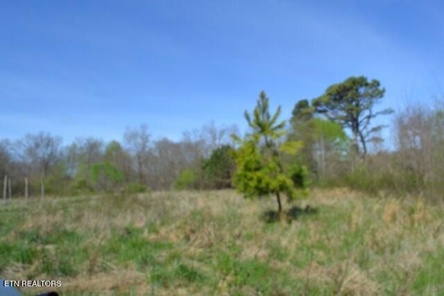 87+/- Boles Road Hilham TN 38568