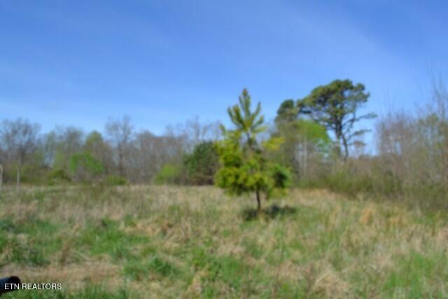 87+/- Boles Road Hilham TN 38568