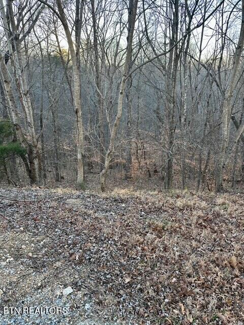 124 Old Hearth Lafollette TN 37766