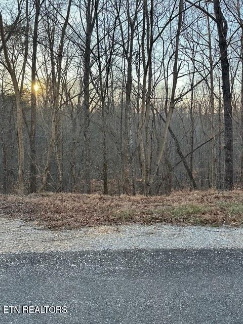124 Old Hearth Lafollette TN 37766