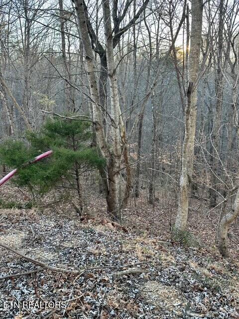 124 Old Hearth Lafollette TN 37766