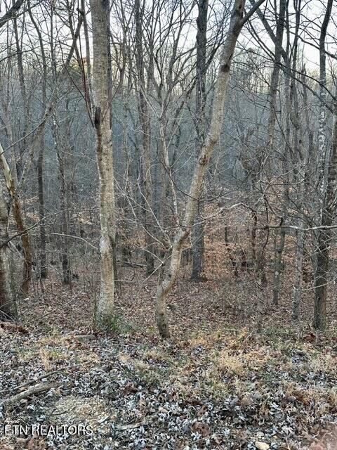 124 Old Hearth Lafollette TN 37766