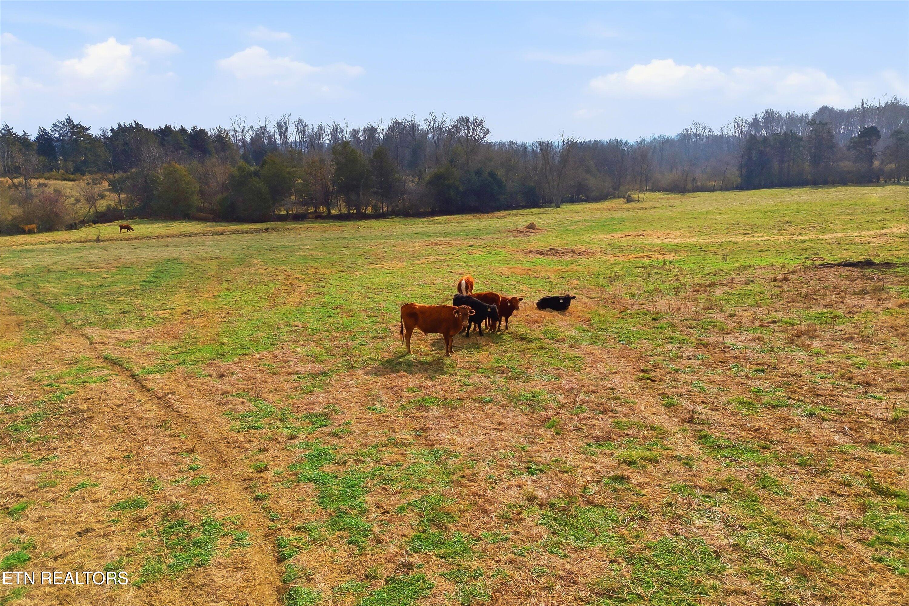 Highway 411 Madisonville TN 37354