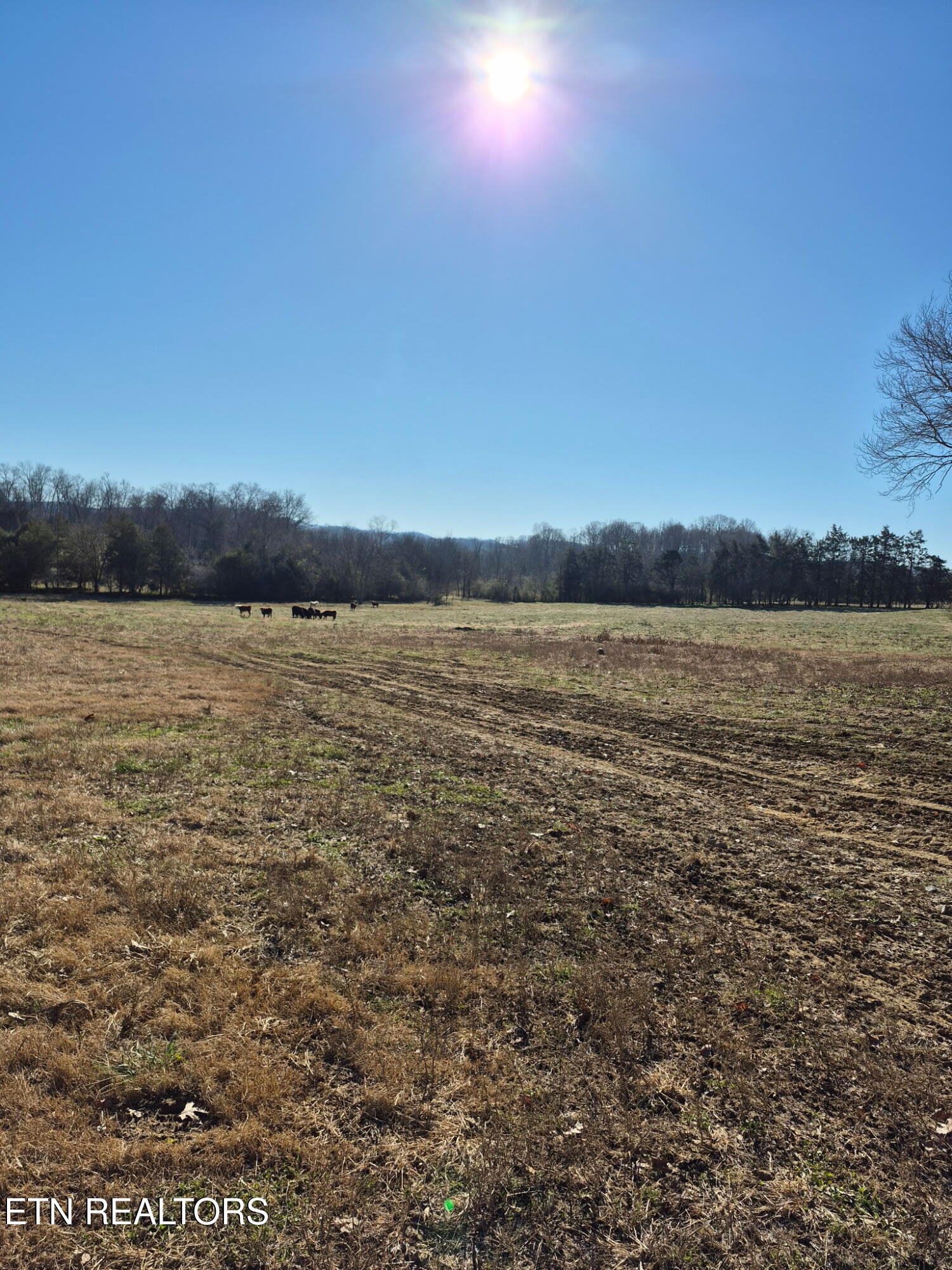 Highway 411 Madisonville TN 37354