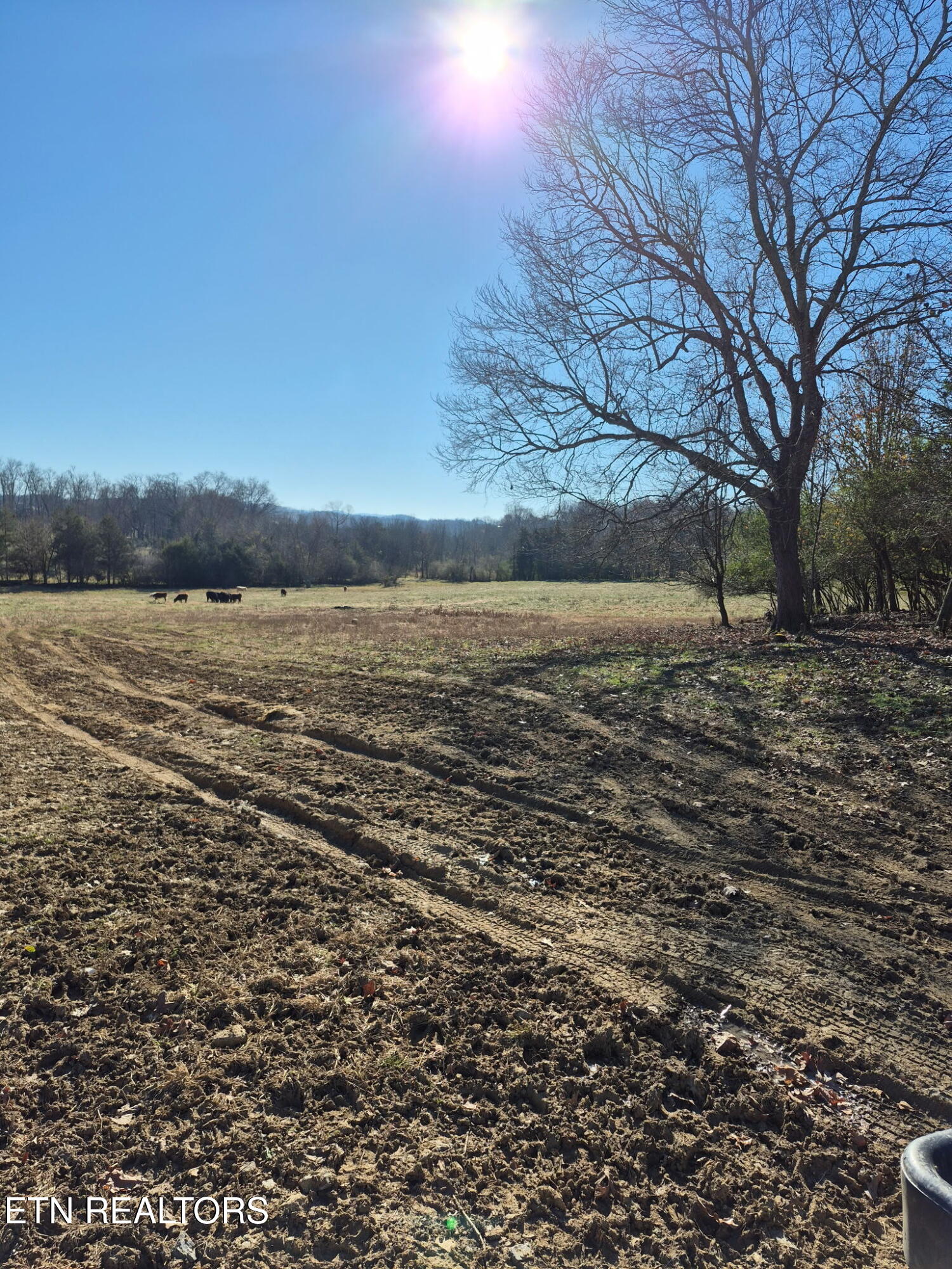 Highway 411 Madisonville TN 37354