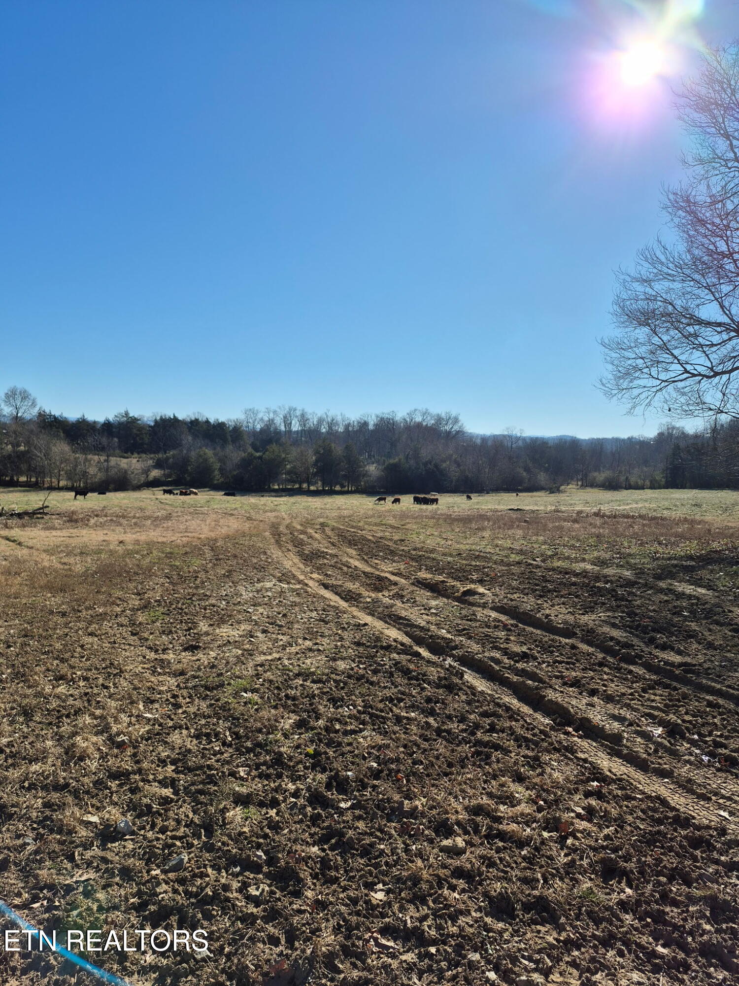 Highway 411 Madisonville TN 37354