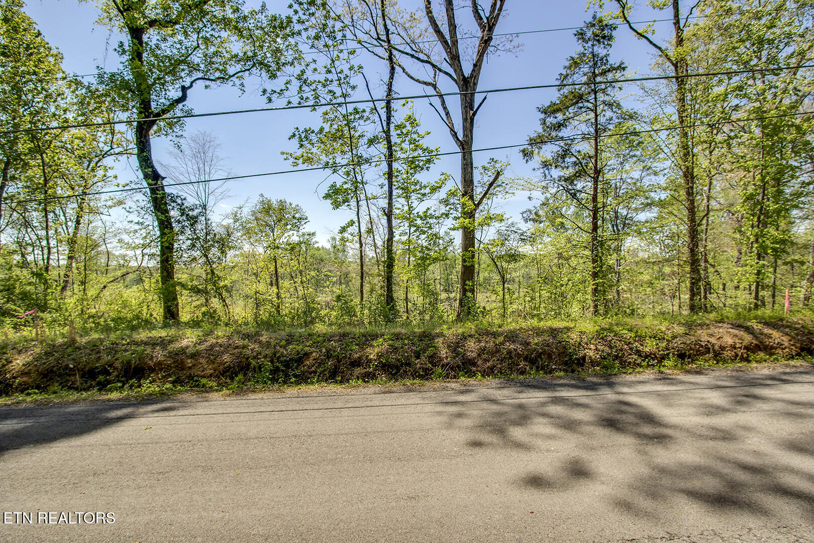 567 Oak Grove Road Decatur TN 37322