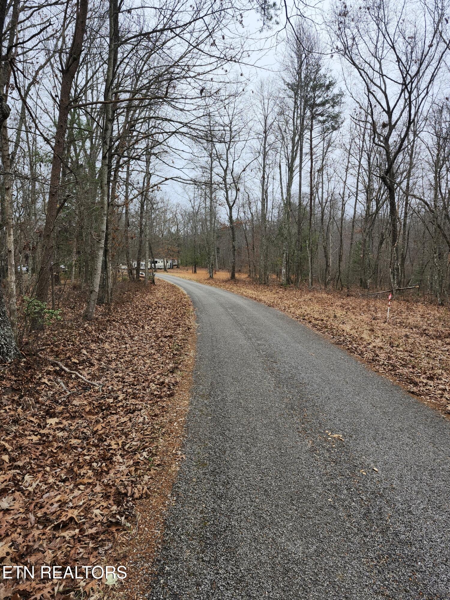 Peacock Lane Deer Lodge TN 37726