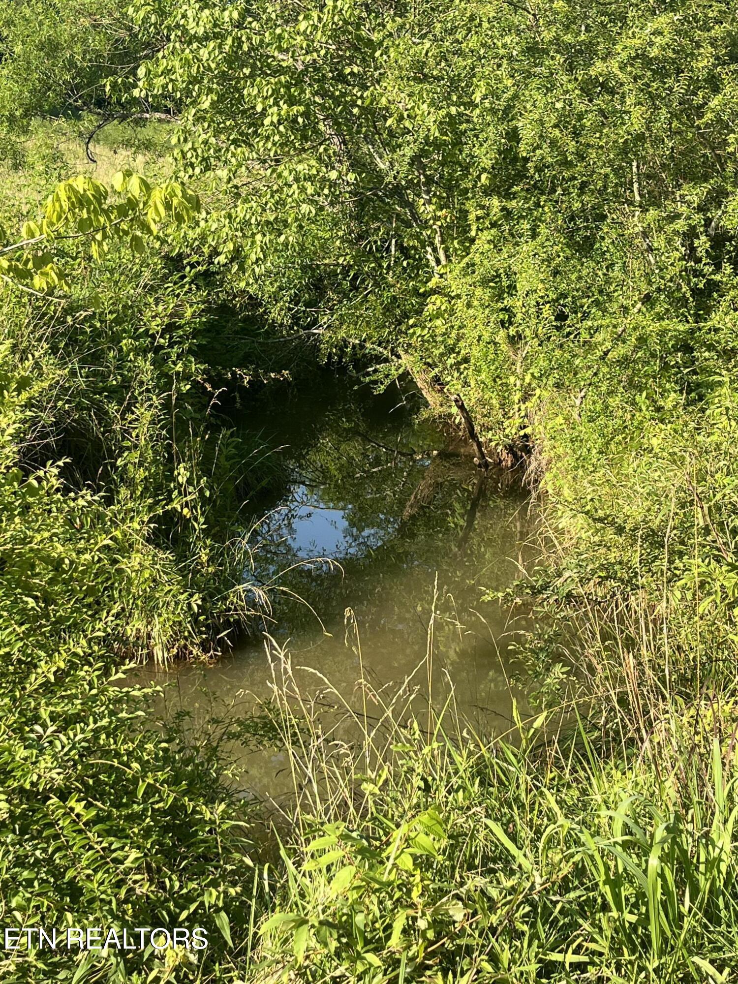 Shoal Creek Road Englewood TN 37329
