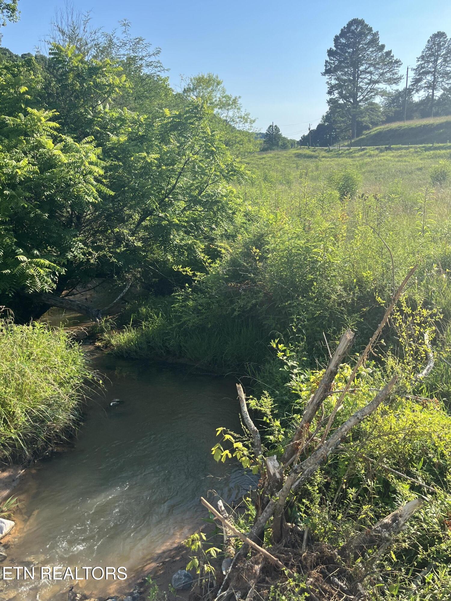 Shoal Creek Road Englewood TN 37329