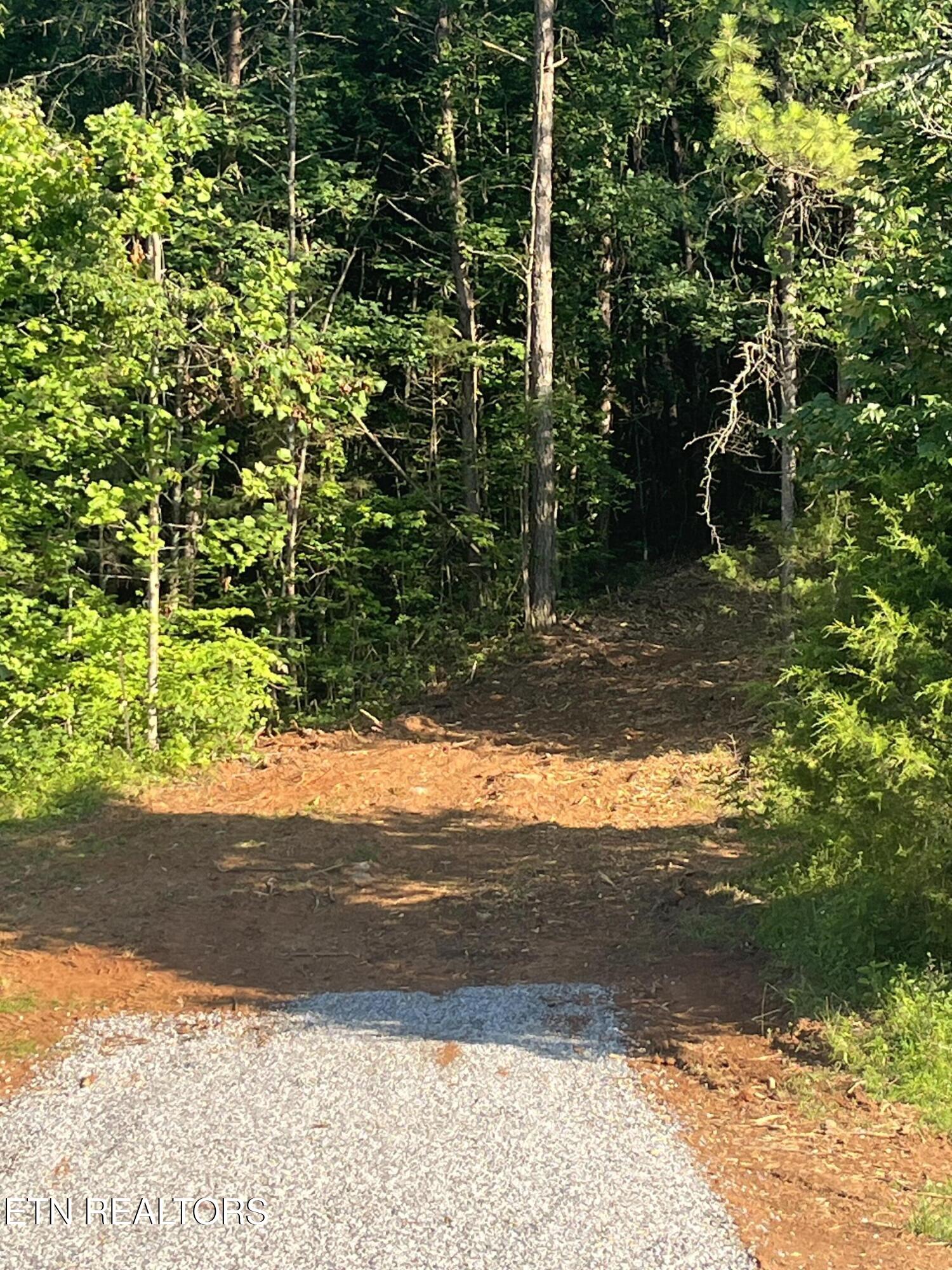 Shoal Creek Road Englewood TN 37329
