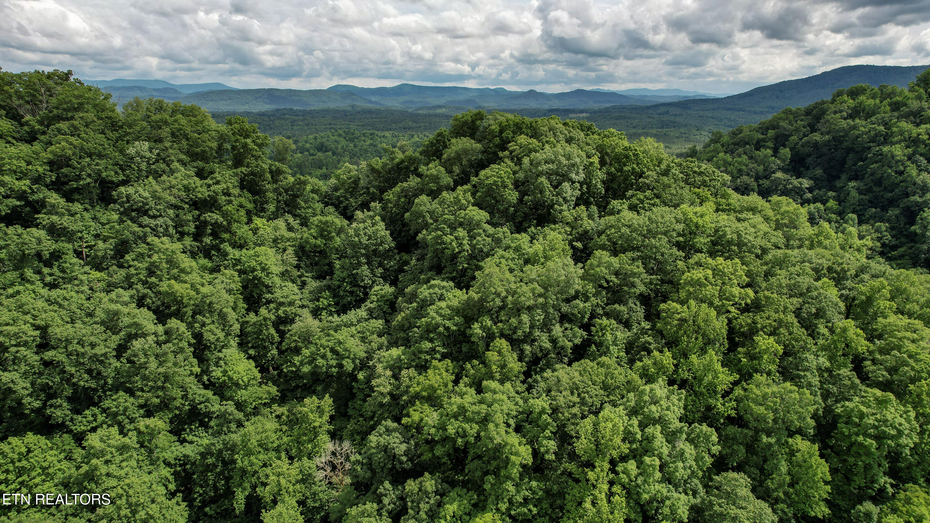 Shoal Creek Road Englewood TN 37329