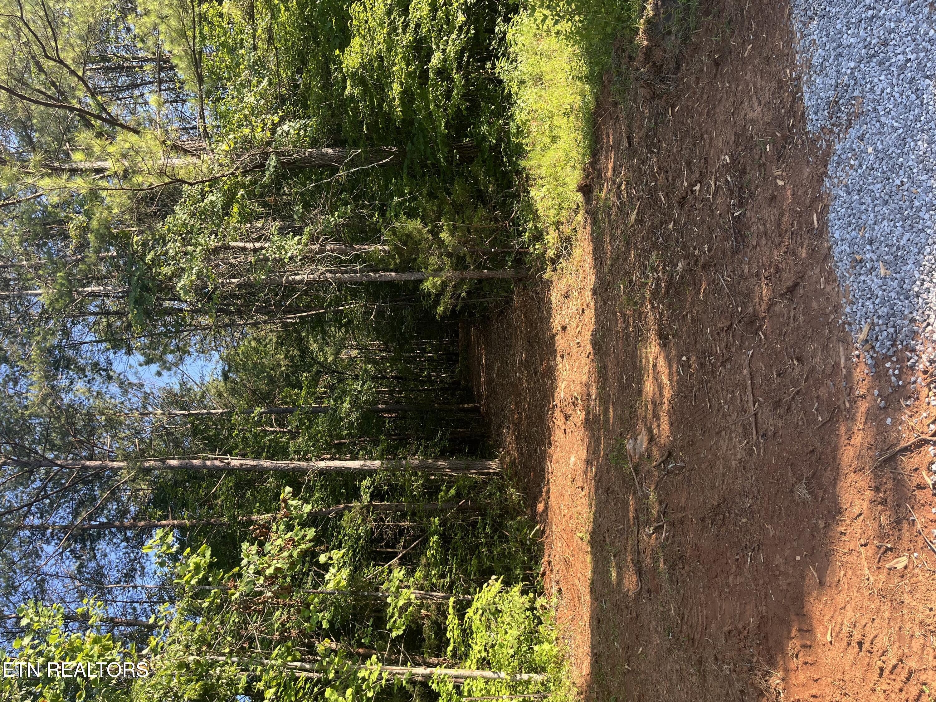 Shoal Creek Road Englewood TN 37329