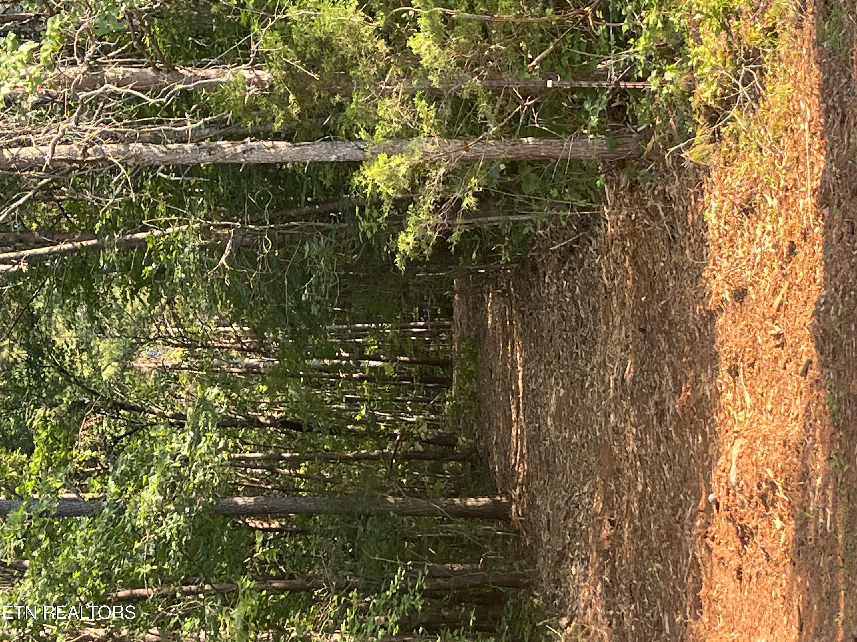 Shoal Creek Road Englewood TN 37329