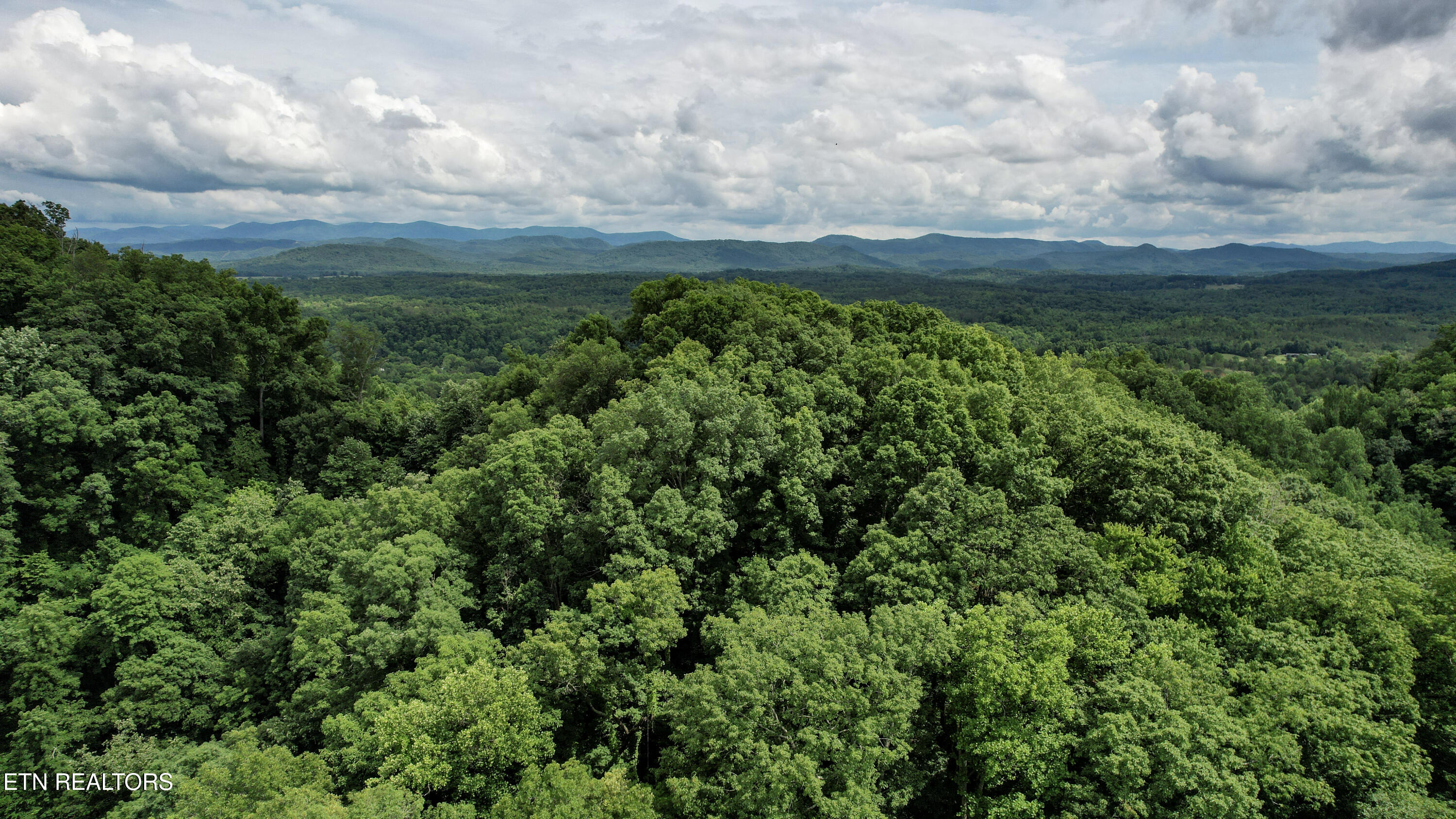Shoal Creek Road Englewood TN 37329