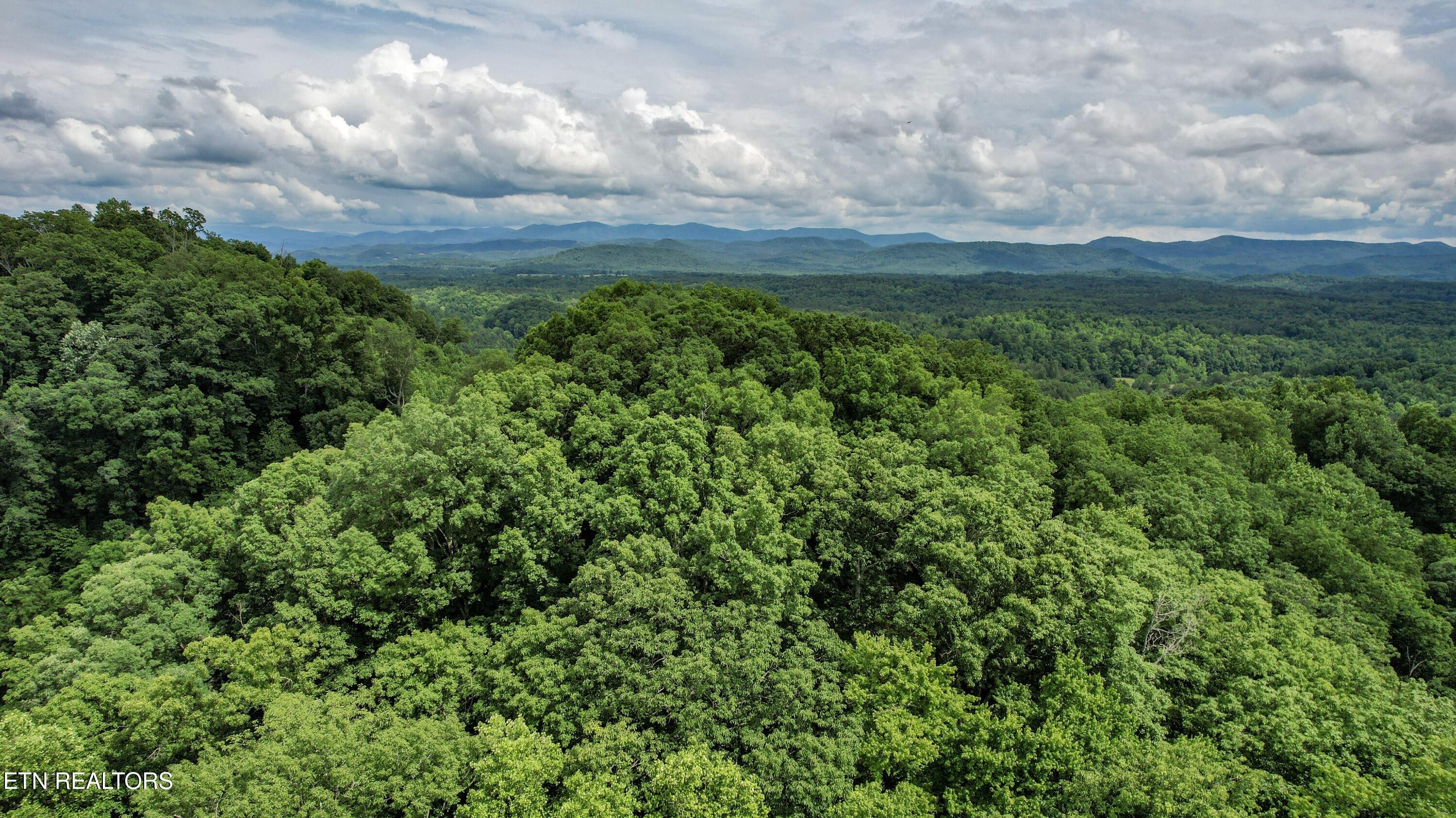 Shoal Creek Road Englewood TN 37329
