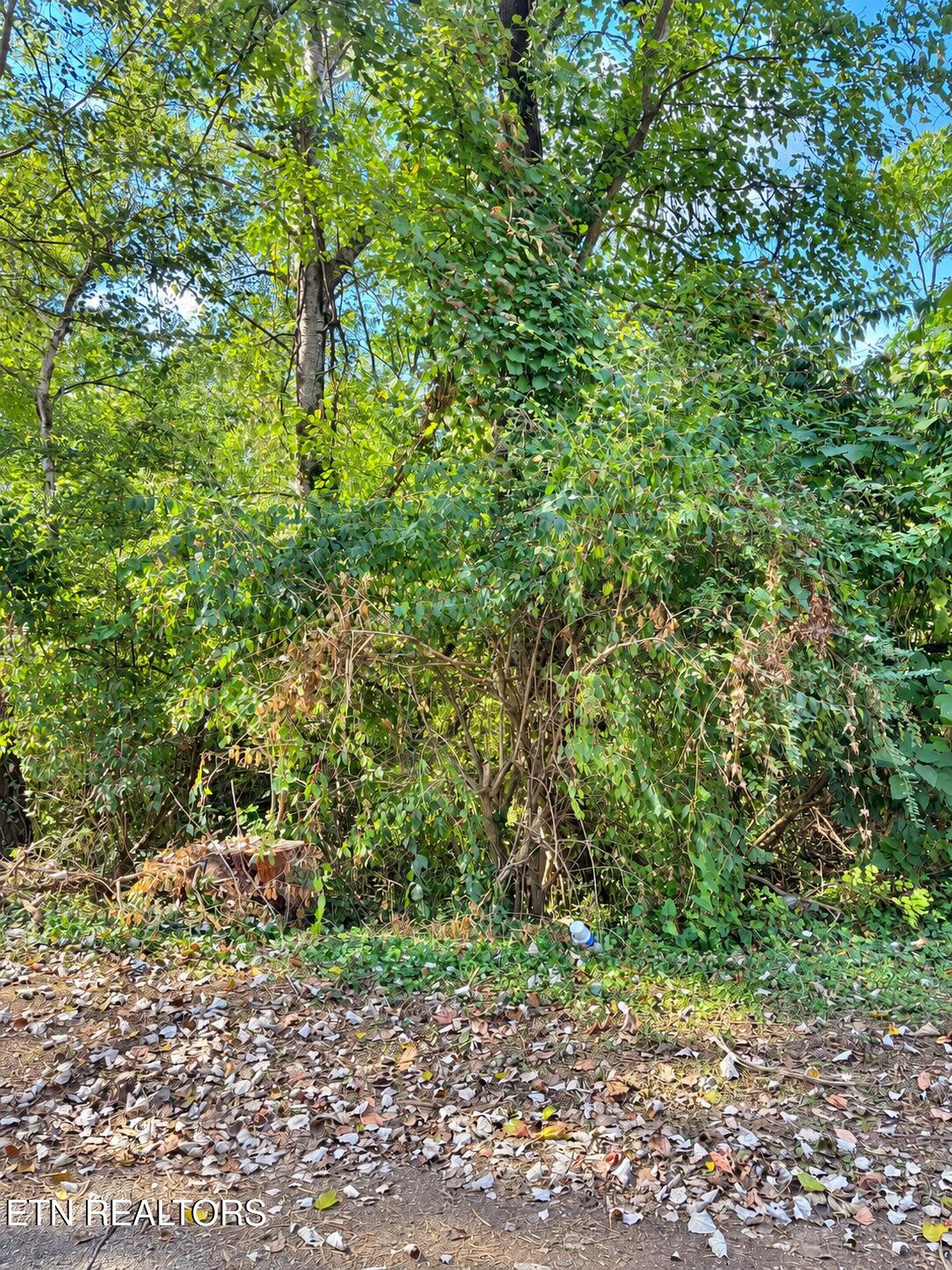 1105 Maryland Avenue Knoxville TN 37921