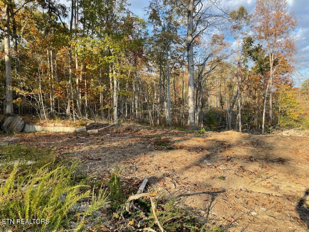 1707 Paint Rock Ferry Road Kingston TN 37763