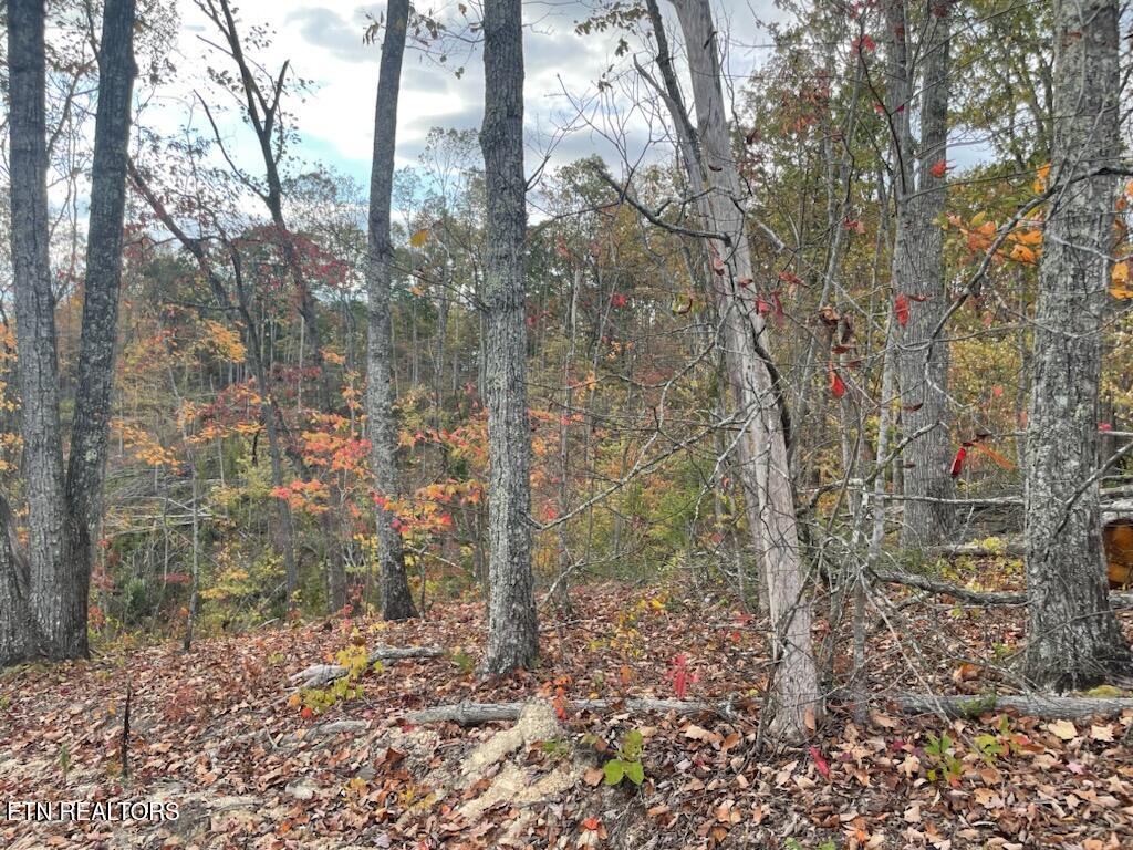 1707 Paint Rock Ferry Road Kingston TN 37763