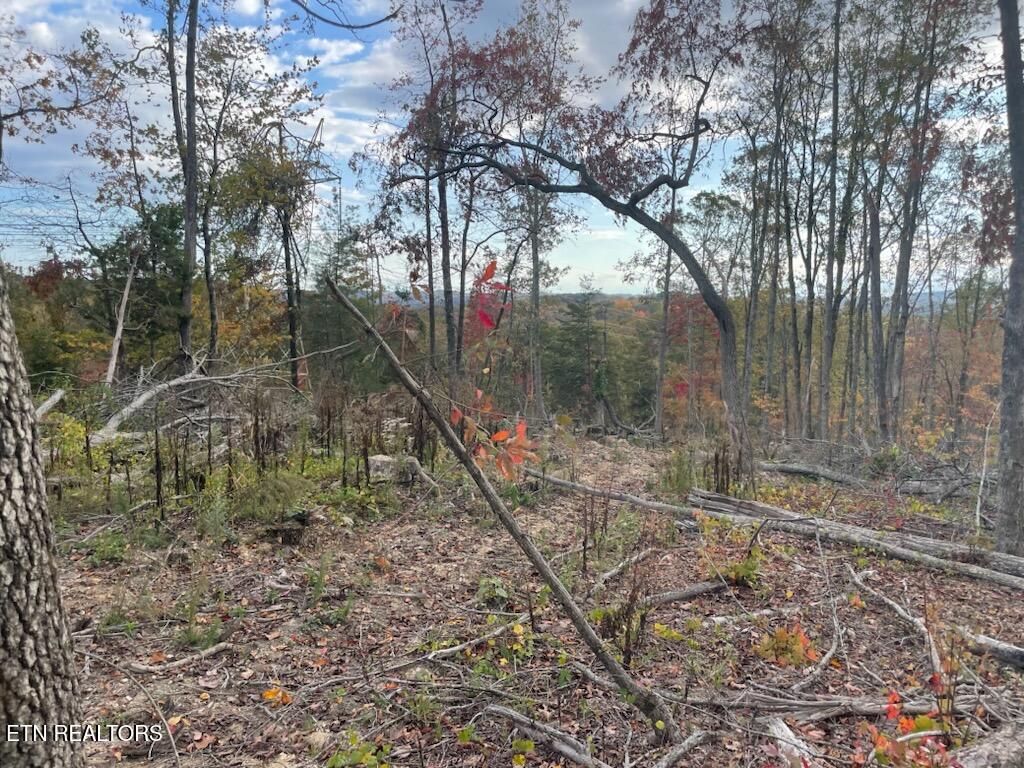1707 Paint Rock Ferry Road Kingston TN 37763