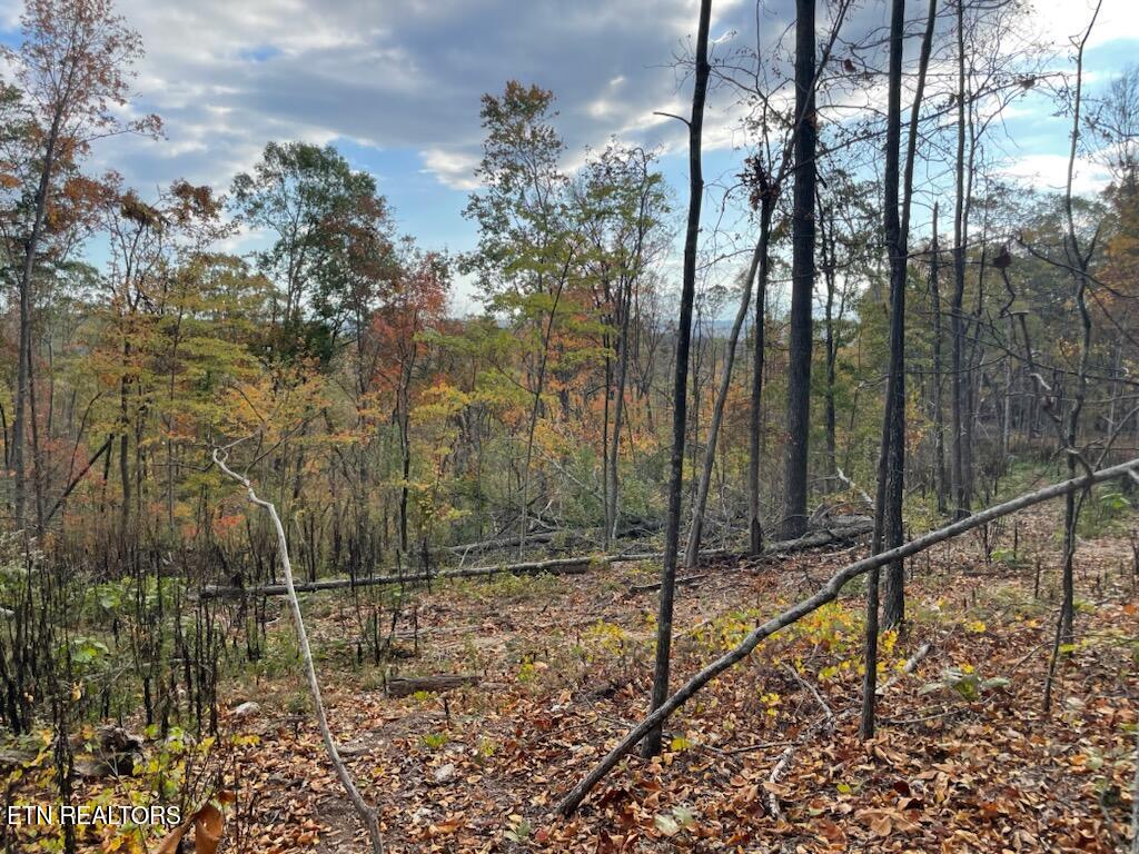 1707 Paint Rock Ferry Road Kingston TN 37763