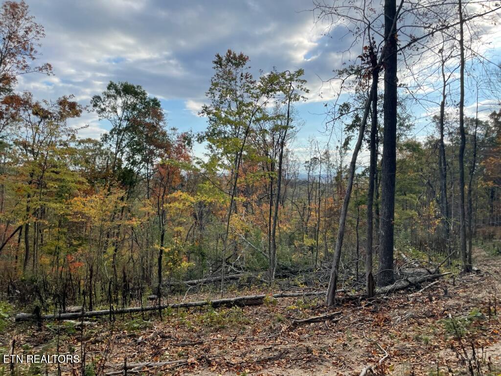 1707 Paint Rock Ferry Road Kingston TN 37763