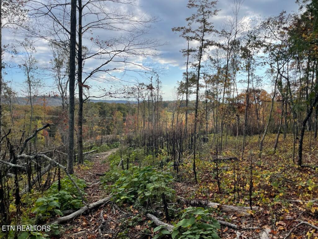 1707 Paint Rock Ferry Road Kingston TN 37763