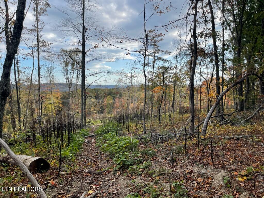 1707 Paint Rock Ferry Road Kingston TN 37763