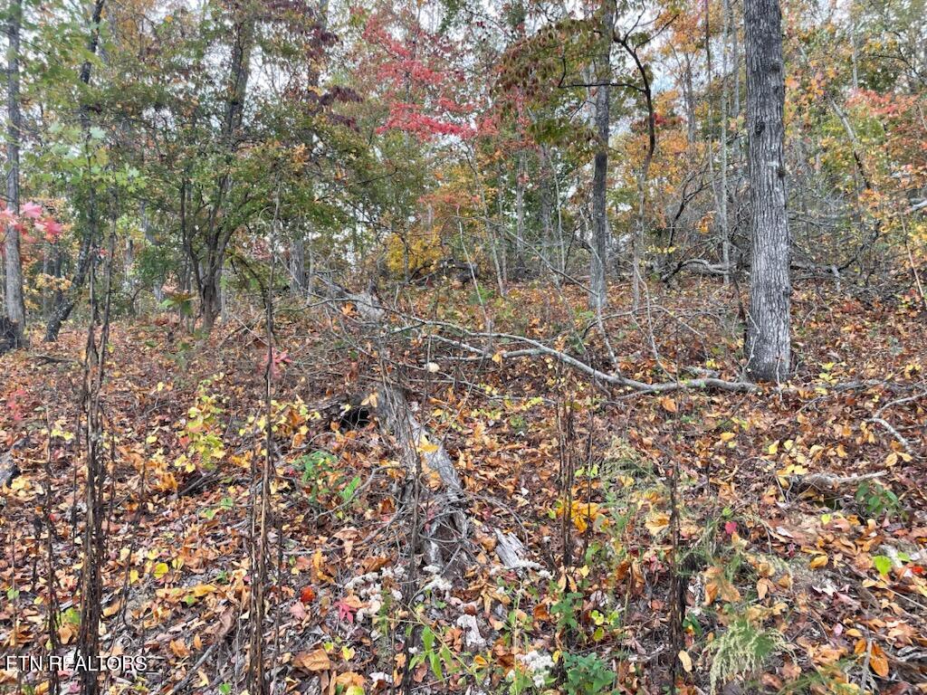 1707 Paint Rock Ferry Road Kingston TN 37763