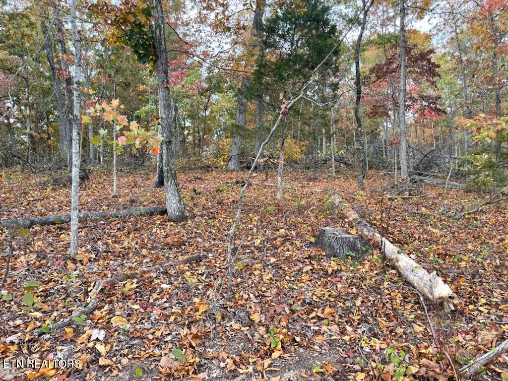 1707 Paint Rock Ferry Road Kingston TN 37763