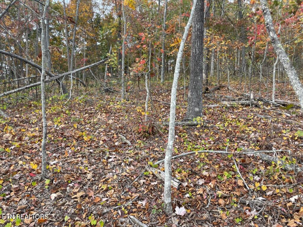 1707 Paint Rock Ferry Road Kingston TN 37763