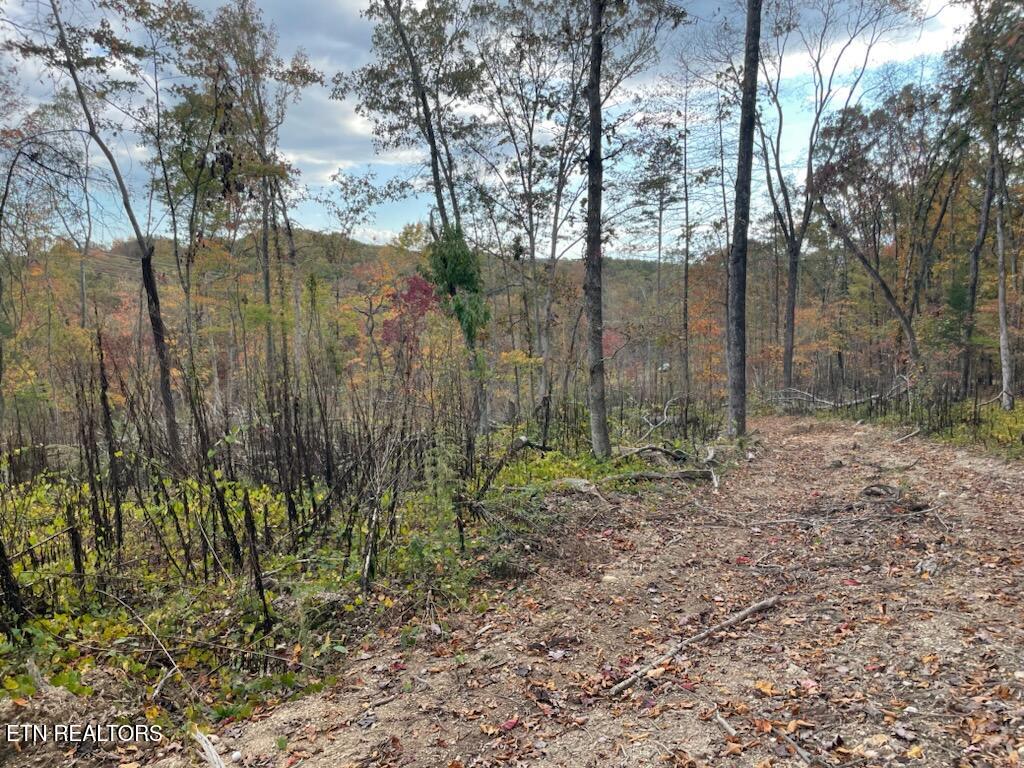 1707 Paint Rock Ferry Road Kingston TN 37763