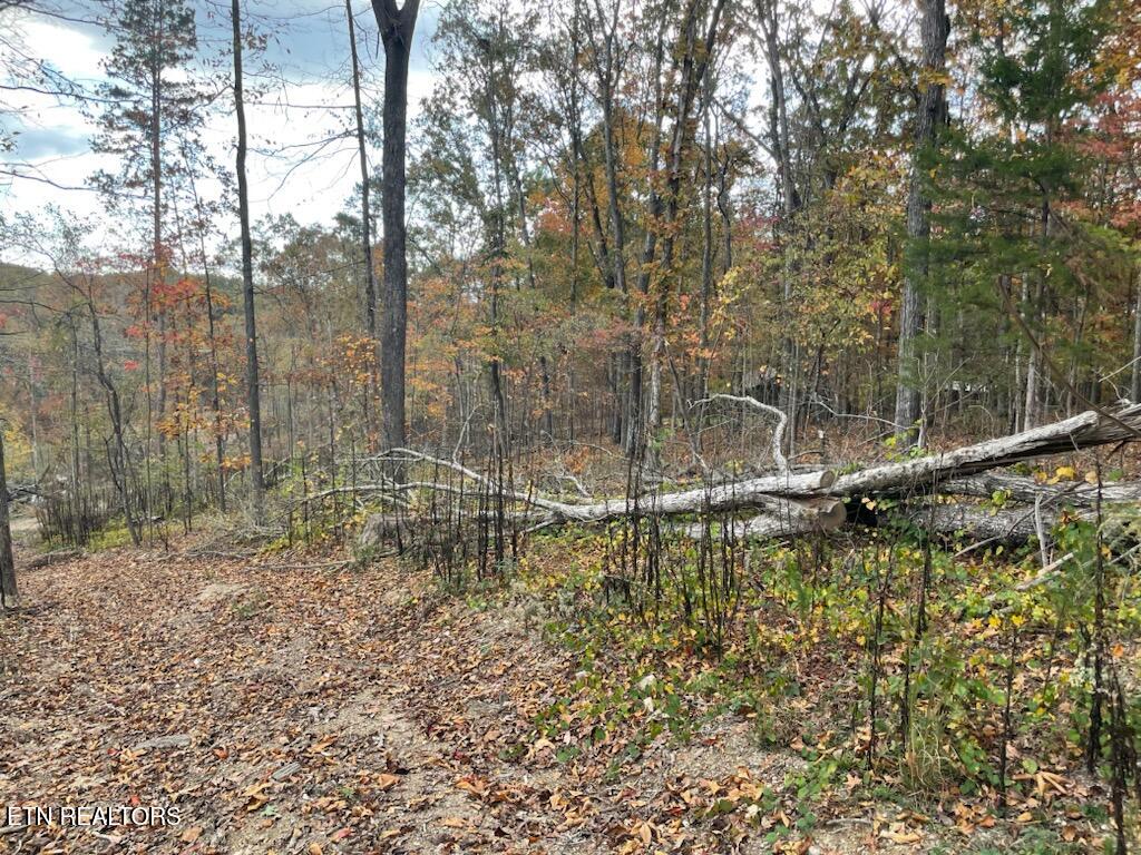 1707 Paint Rock Ferry Road Kingston TN 37763