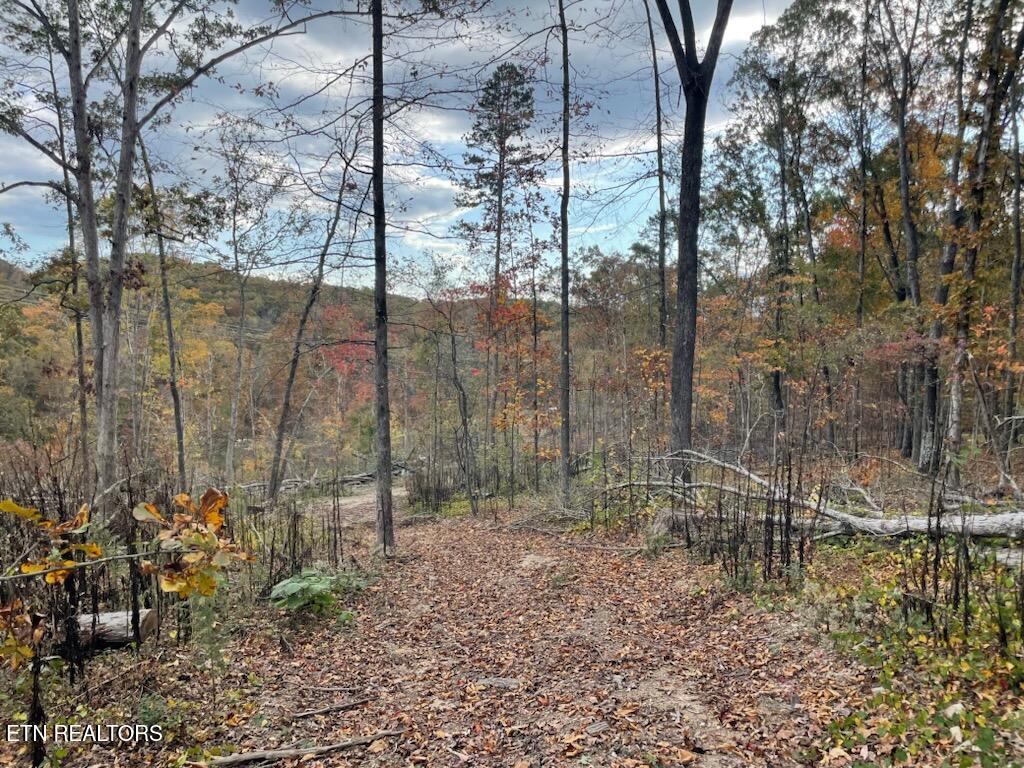 1707 Paint Rock Ferry Road Kingston TN 37763