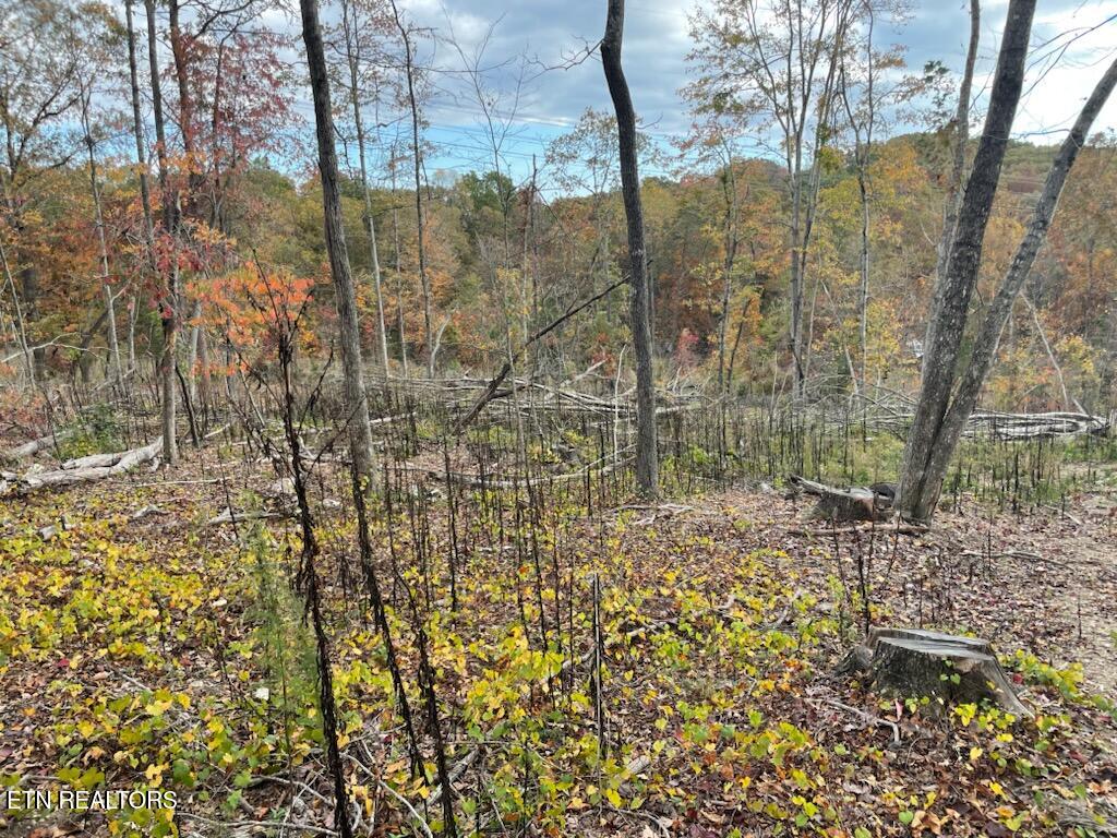 1707 Paint Rock Ferry Road Kingston TN 37763