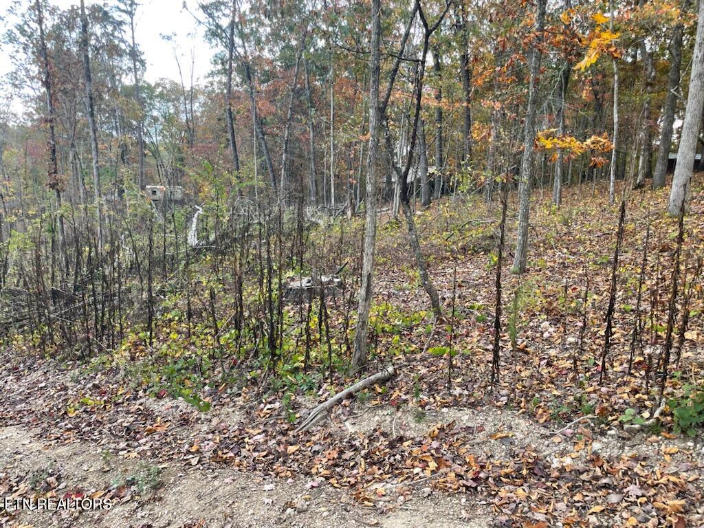 1707 Paint Rock Ferry Road Kingston TN 37763